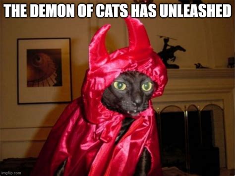 devil cat meme